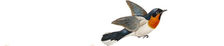 снимка на птица