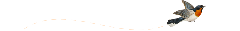 изображение на птица